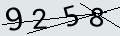 verifycode